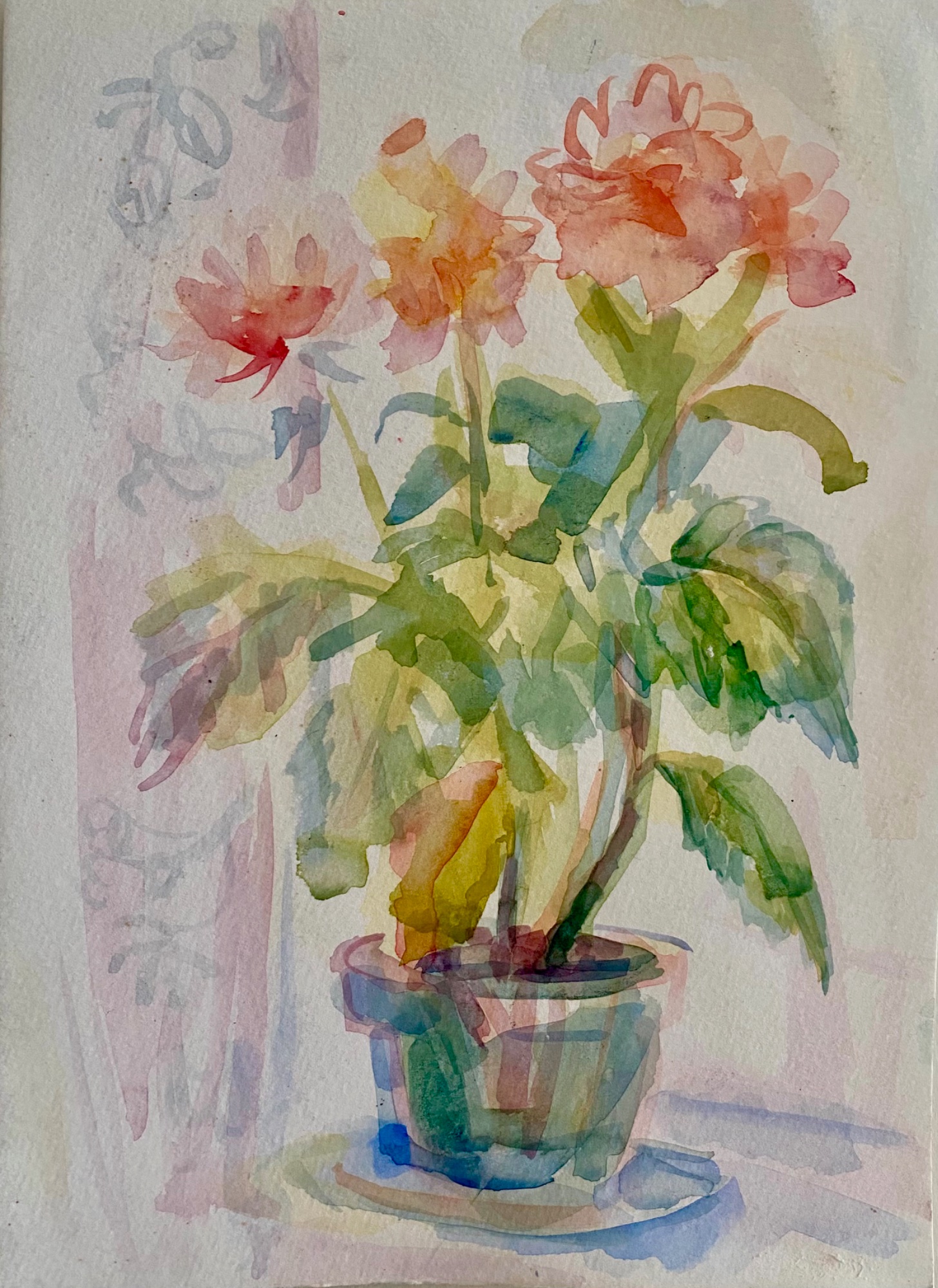 Still Life XII
